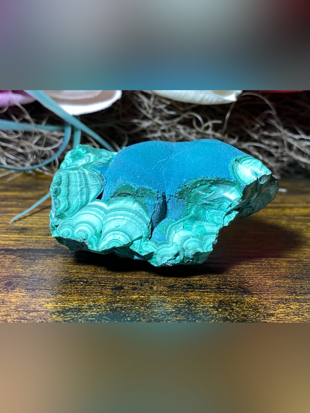 Large Botryoidal Malachite - Picture 8 of 16